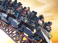 Theme Parks category