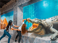 3D World Selfie Museum Dubai: Interactive illusion fun