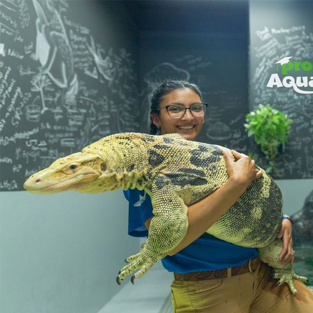 A staff member at the National Aquarium in Abu Dhabi educates a young visitor about an iguana.