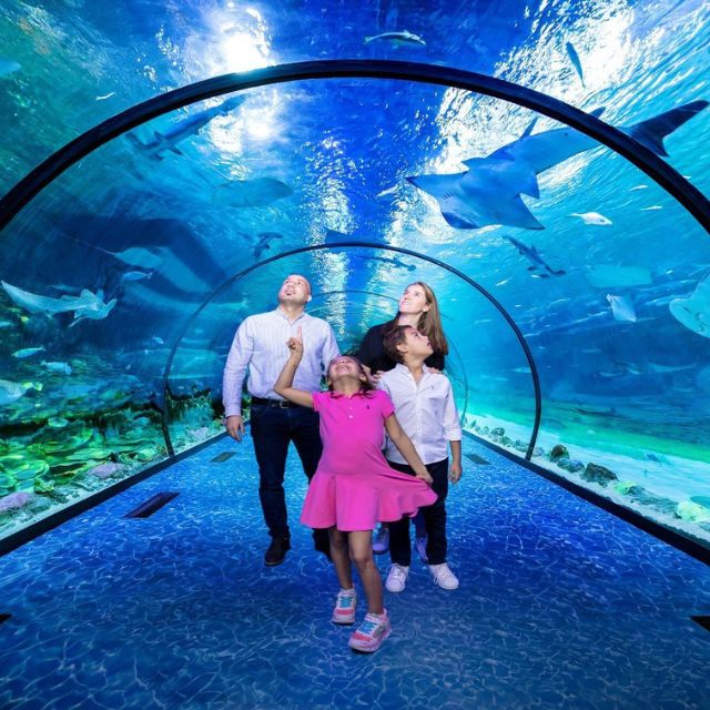 Family enjoying an underwater adventure at the National Aquarium in Abu Dhabi, viewing colorful fish and marine creatures through a transparent tunnel.