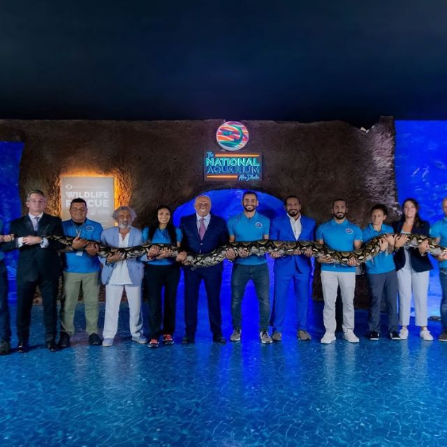 Visitors at the National Aquarium in Abu Dhabi get a chance to learn about a long snake.