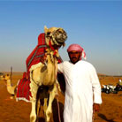  A majestic camel stands proudly at the front of a camel convoy during a Dubai Dune Rider Desert Safari. Its guide walks beside it in traditional dress.