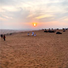  Breathtaking desert sunset in Dubai, captured during a dune bashing safari with a photo stop. Rolling sand dunes cast long shadows in the golden light.