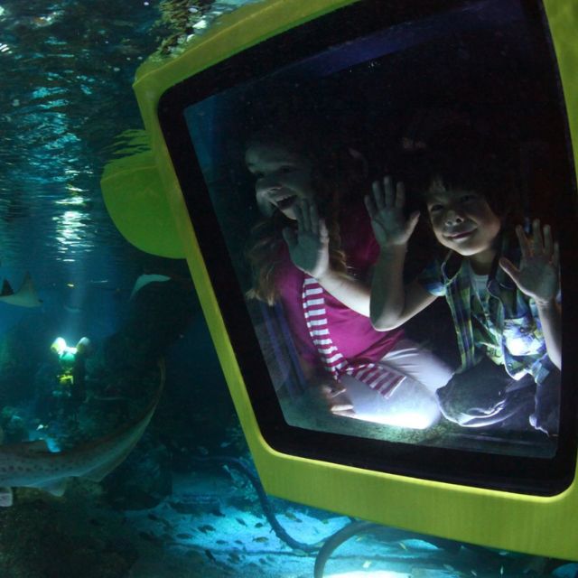 Excited children embarking on an underwater adventure in a submarine ride at LEGOLAND Dubai