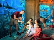 Atlantis Lost Chambers: Family ocean discovery