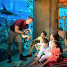 Learning together: A family discovering the wonders of the ocean with the help of a knowledgeable staff member.