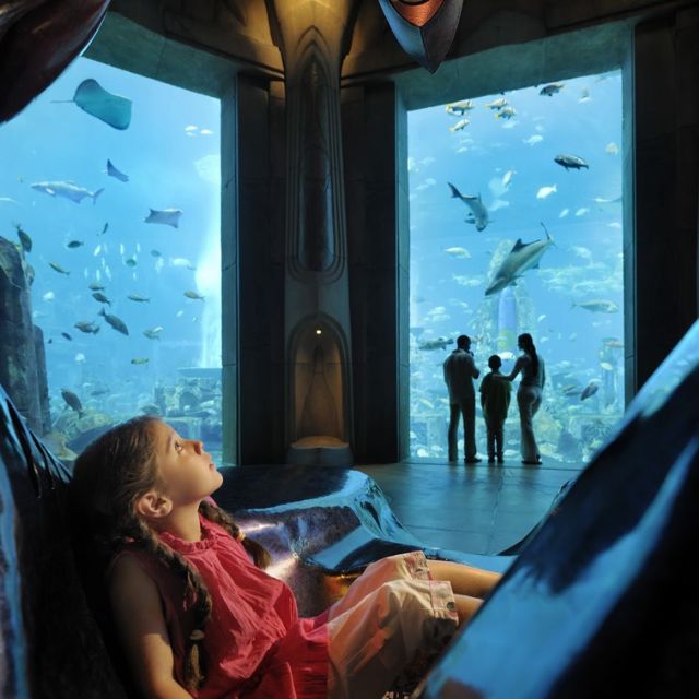 A young child mesmerized by the underwater world while relaxing on a sofa at Atlantis Lost Chambers Aquarium