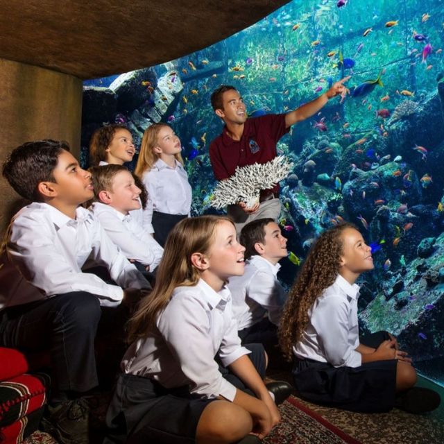 Engrossed group of children learning about marine life from an aquarium expert at Atlantis Lost Chambers Aquarium