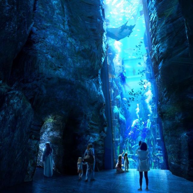Visitors capturing unforgettable moments at the impressive underwater world exhibit surrounded by breathtaking mountain scenery at SeaWorld Abu Dhabi